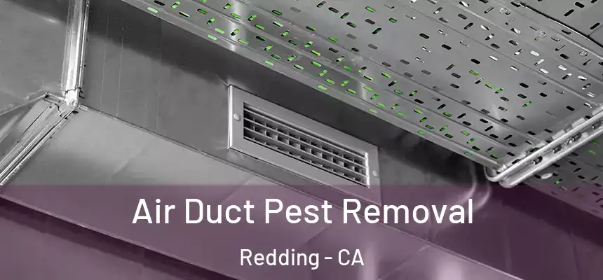 Air Duct Pest Removal Redding - CA