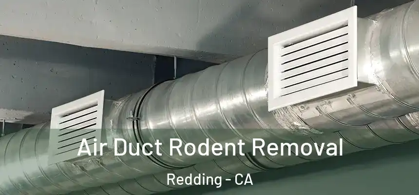 Air Duct Rodent Removal Redding - CA