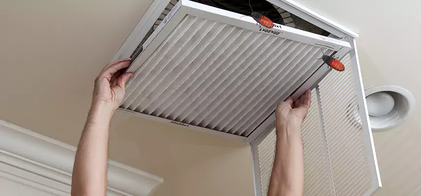 Preventive Cockroach-Proofing for Ducts in Redding