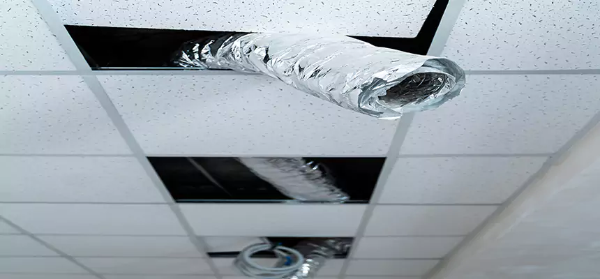 Affordable HVAC Sanitizing After Pest Removal in Redding