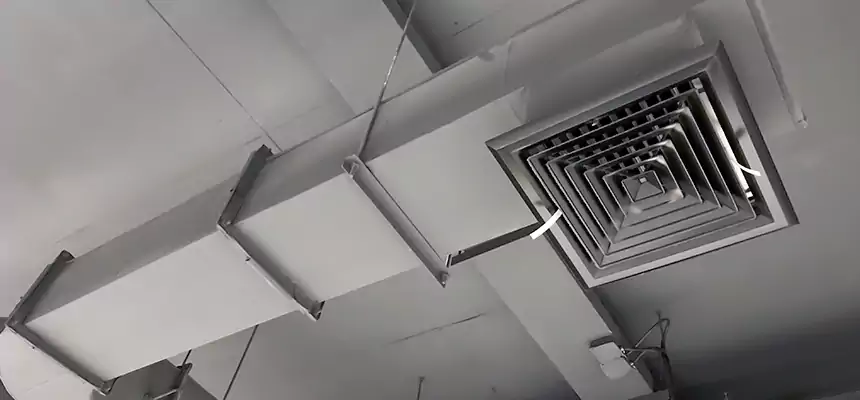 Our Pest Removal From Ducts Services in Redding, CA