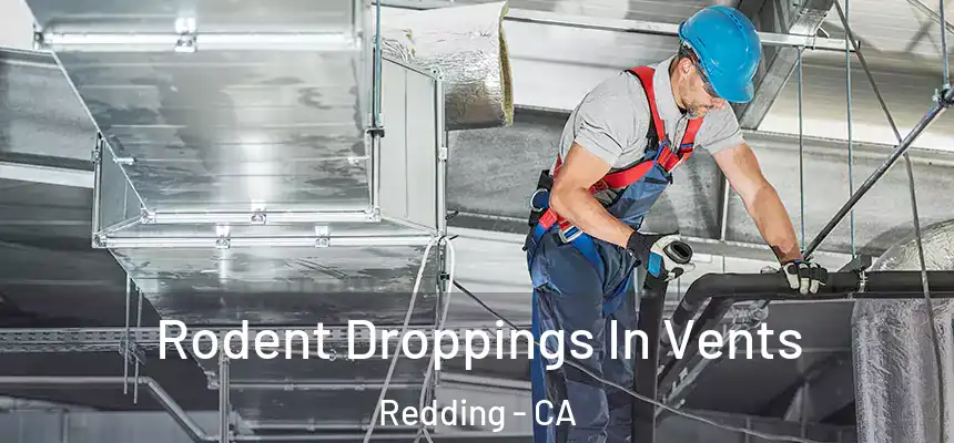 Rodent Droppings In Vents Redding - CA