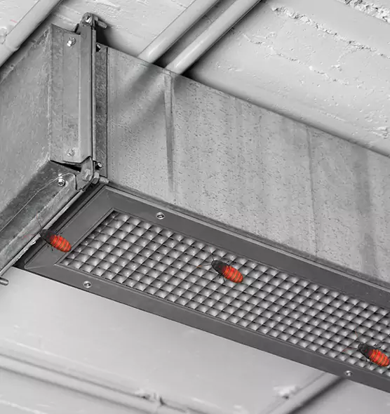 Affordable Insect Removal from Air Ducts in Redding, CA
